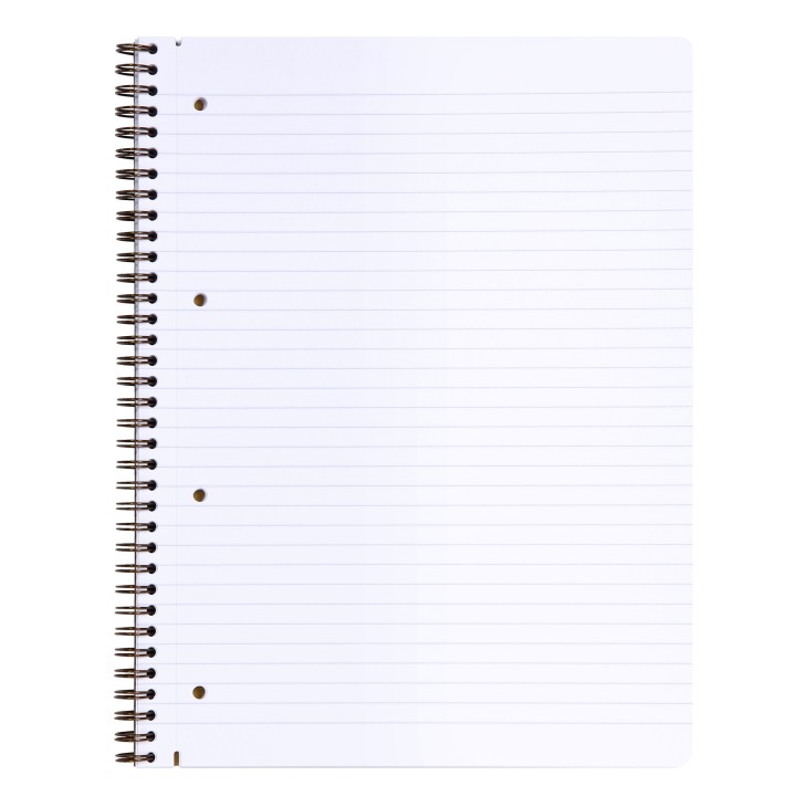 KOŁONOTATNIK NOMADDICT (AGE BAG), 22,5 x29,7 CM, W LINIE, 80 PERFOROWANYCH KARTEK, BEŻOWY CLAIREFONTAINE_x000D_ – zdjęcie 2