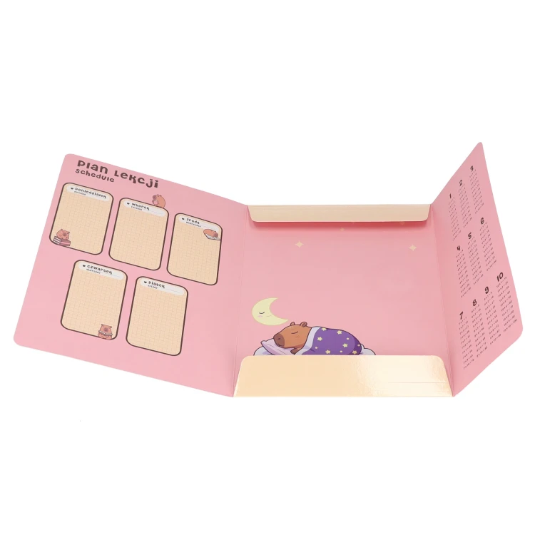 Teczka z gumką A4 Kapibara mix STARPAK 583303 – zdjęcie 2