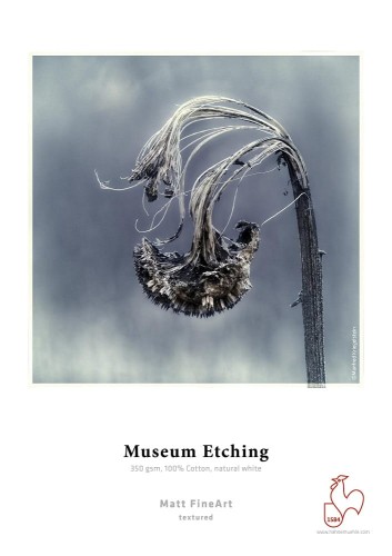 Papier fotograficzny A3 HAHNEMUHLE Museum Etching 350