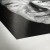 Papier fotograficzny HAHNEMUHLE FineArt Baryta 325