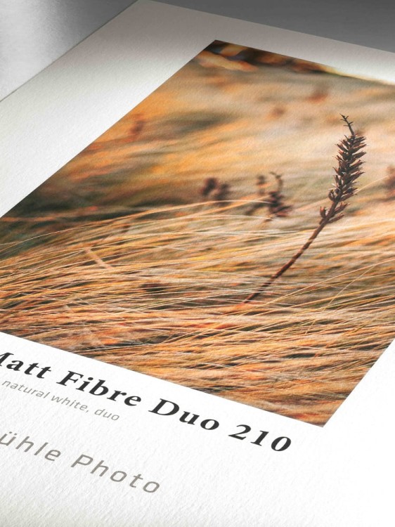 Papier HAHNEMUHLE Photo Matt Fibre Duo 210