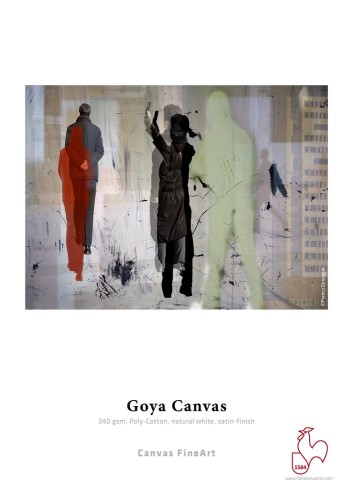 hahnemuehle__goya_canvas.jpg