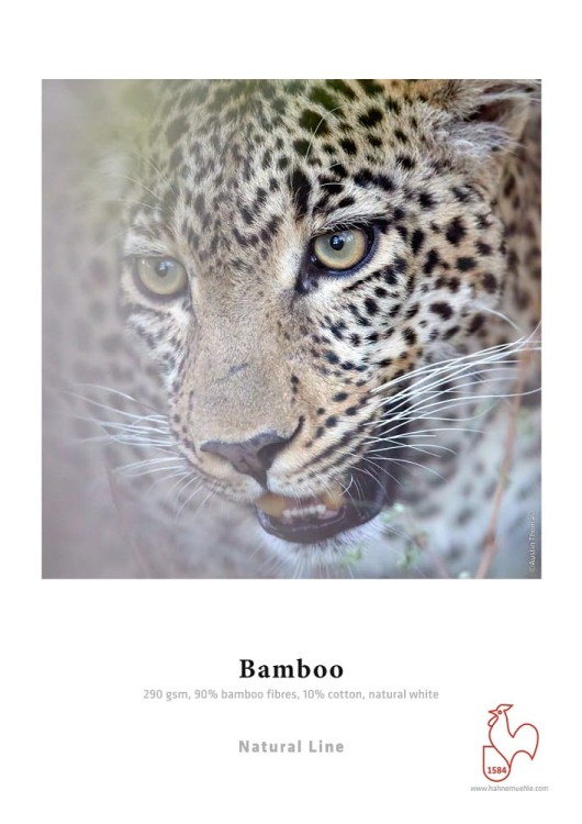 Hahnemuhle-Bamboo.jpg