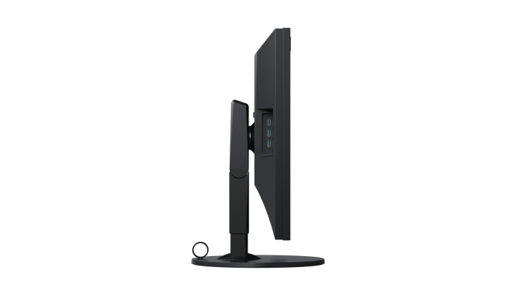 Monitor EIZO ColorEdge CG319X