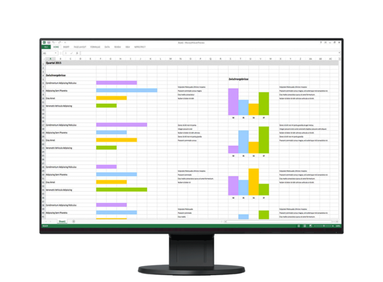 Monitor EIZO FlexScan EV2456