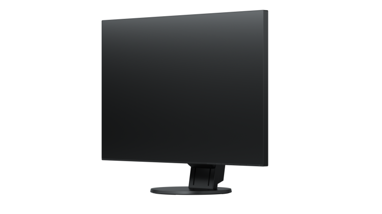 Monitor EIZO FlexScan EV2456