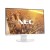 Monitor NEC MultiSync EA242WU 60005573