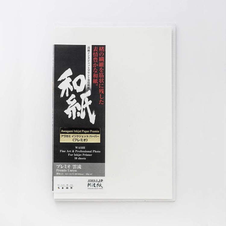 AWAGAMI Premio Unryu 165