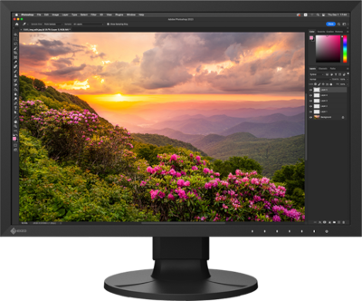 Monitor dla grafika EIZO CS2400S