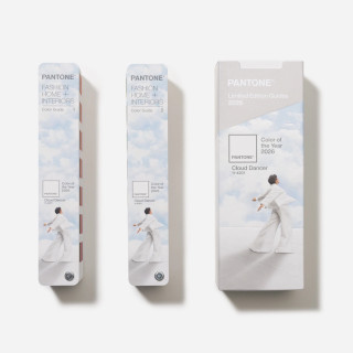 Wzornik kolorów PANTONE FHI Guide 11-4201 Cloud Dancer